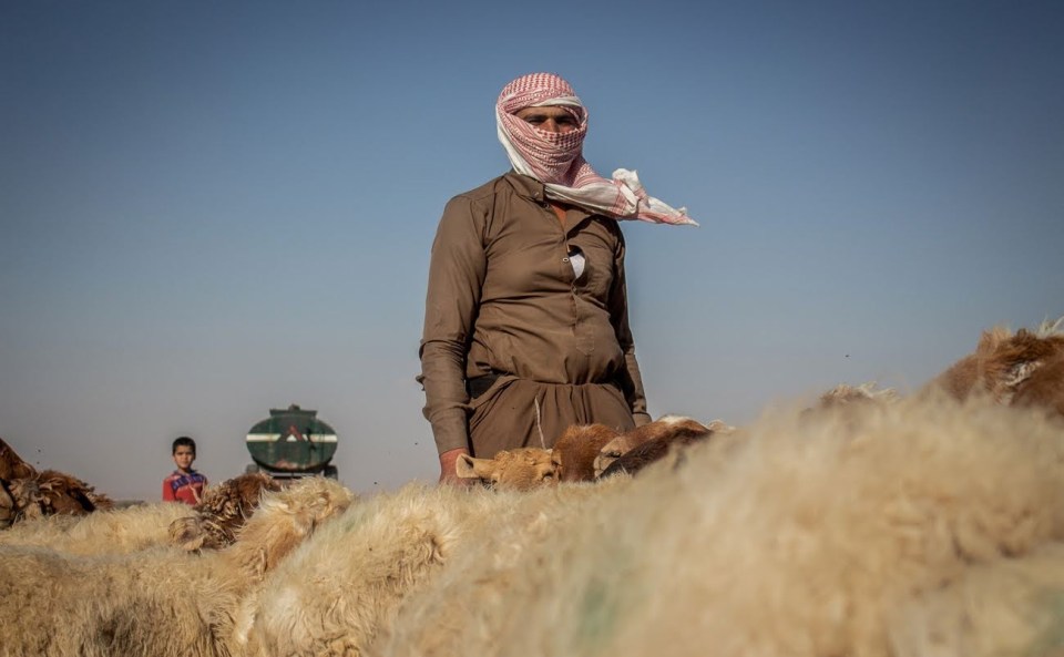 يعمل يوسف في رعي الغنم منذ أكثر من 15 عامًا