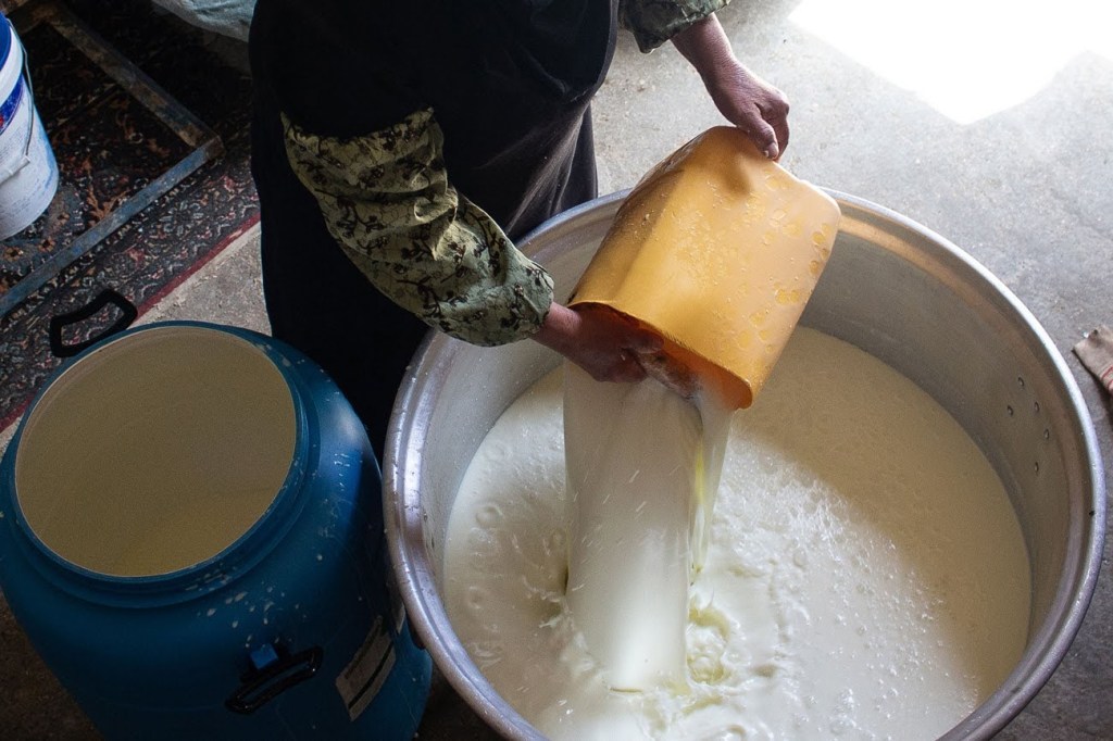 يُفصل اللبن عن طبقة المُصل بالتسخين وإضافة الماء